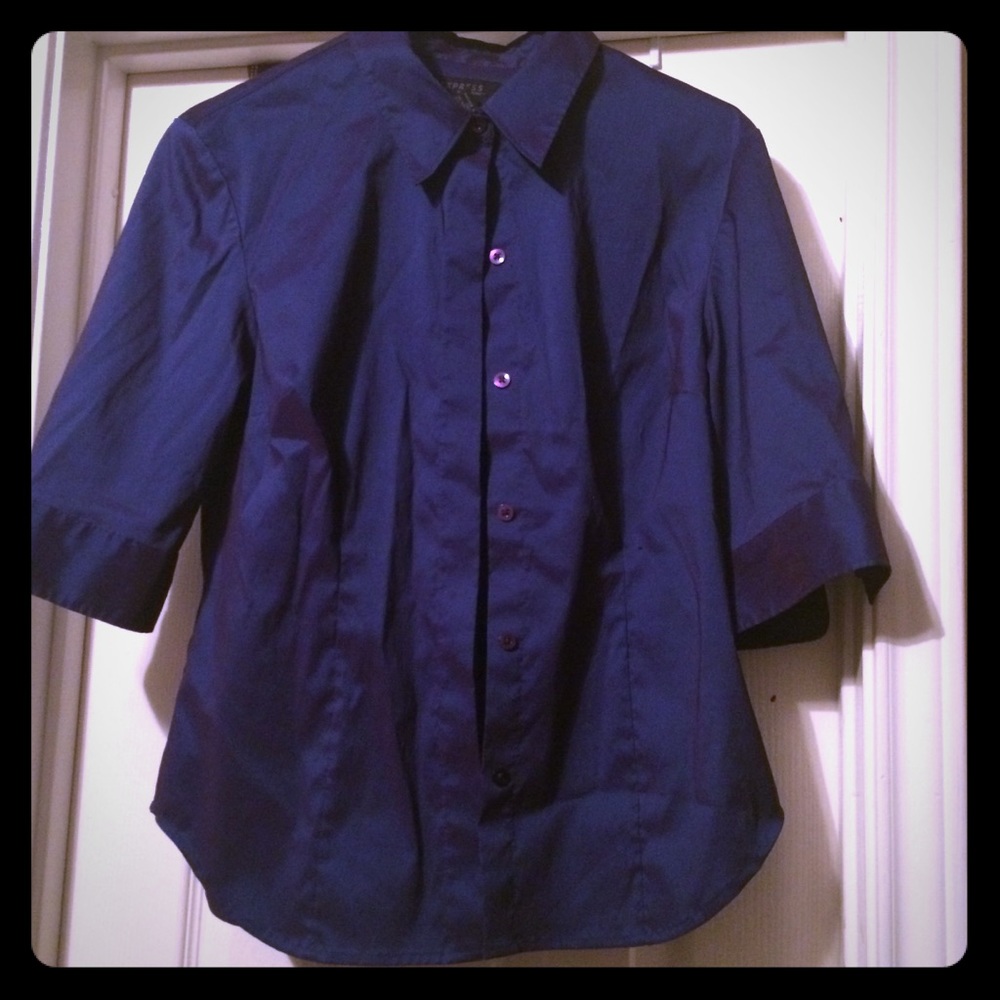 Blue/purple iridescent stretch Express blouse